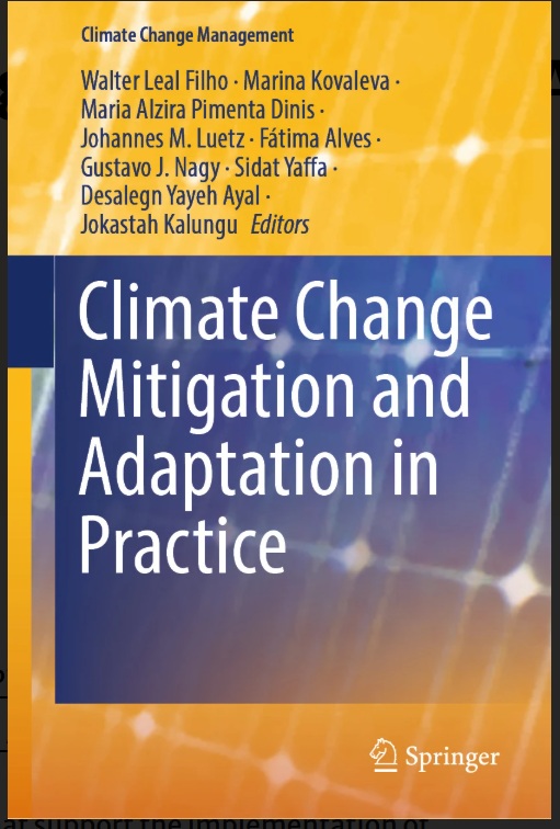 Climate Change Mitigation and Adaptation in Practice