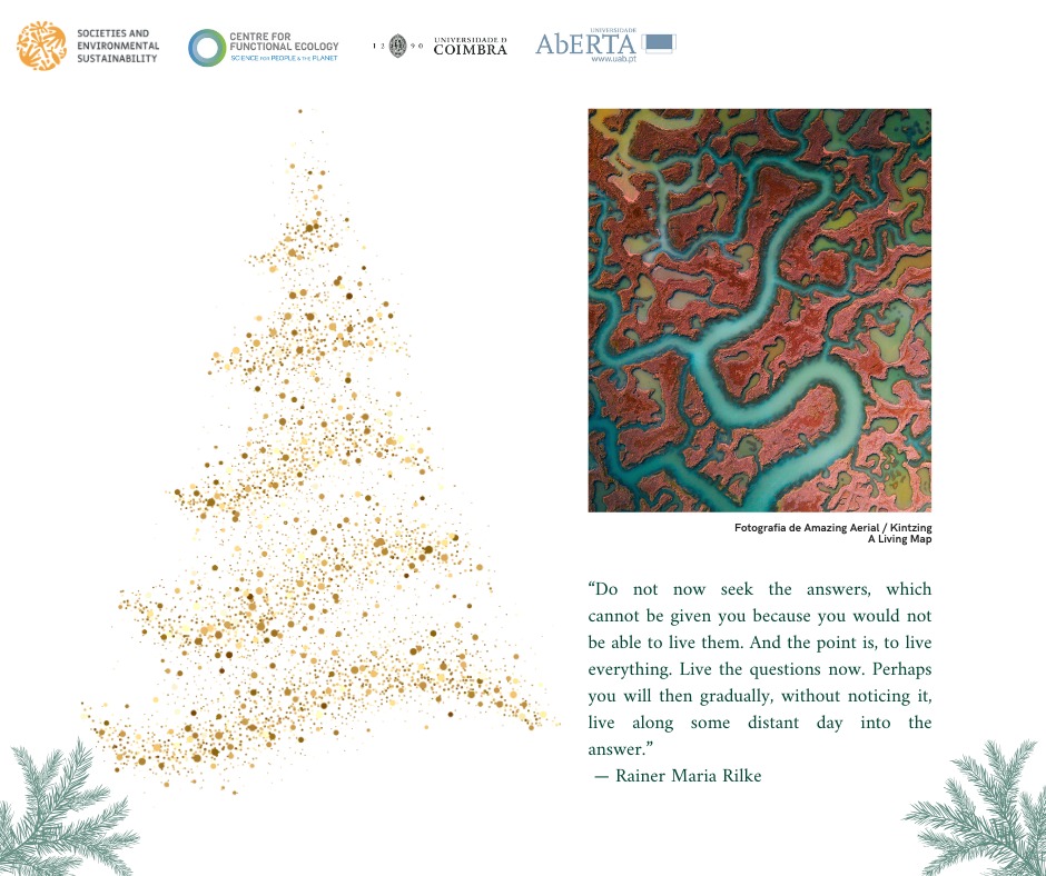 Mensagem de Boas Festas— GI Sociedades e Sustentabilidade Ambiental