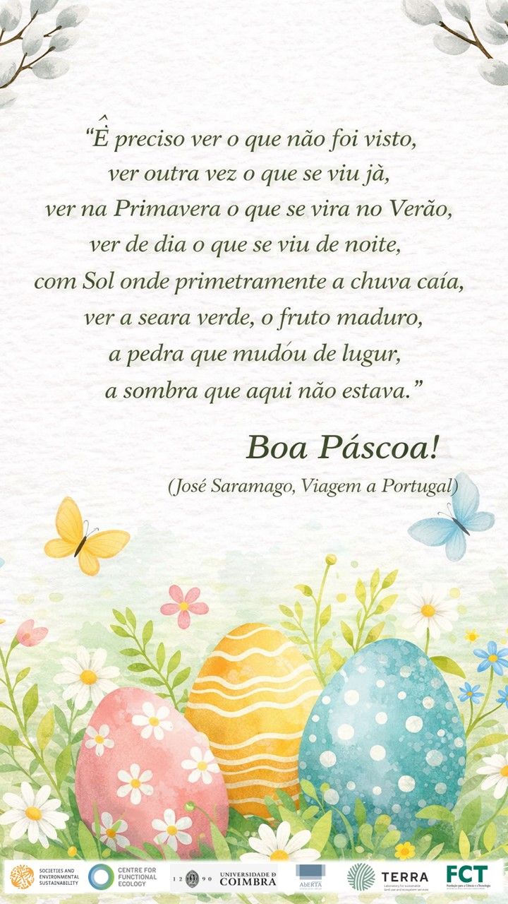 É preciso ver o que não foi visto, ver outra vez o que se viu já