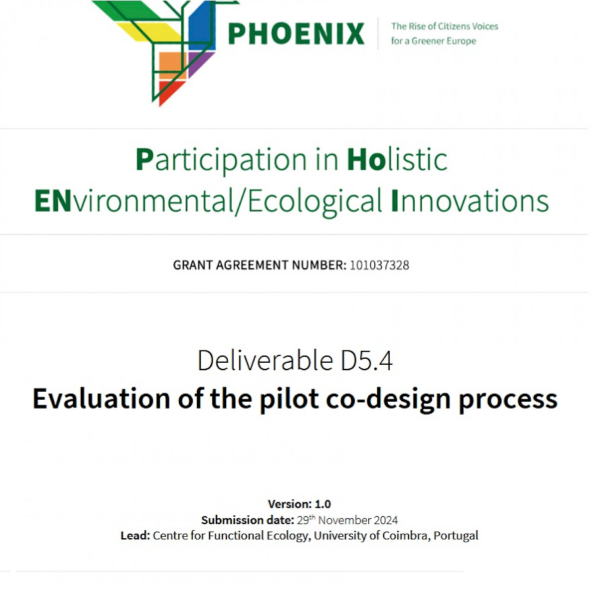 Evaluation of the pilot codisign process deliver