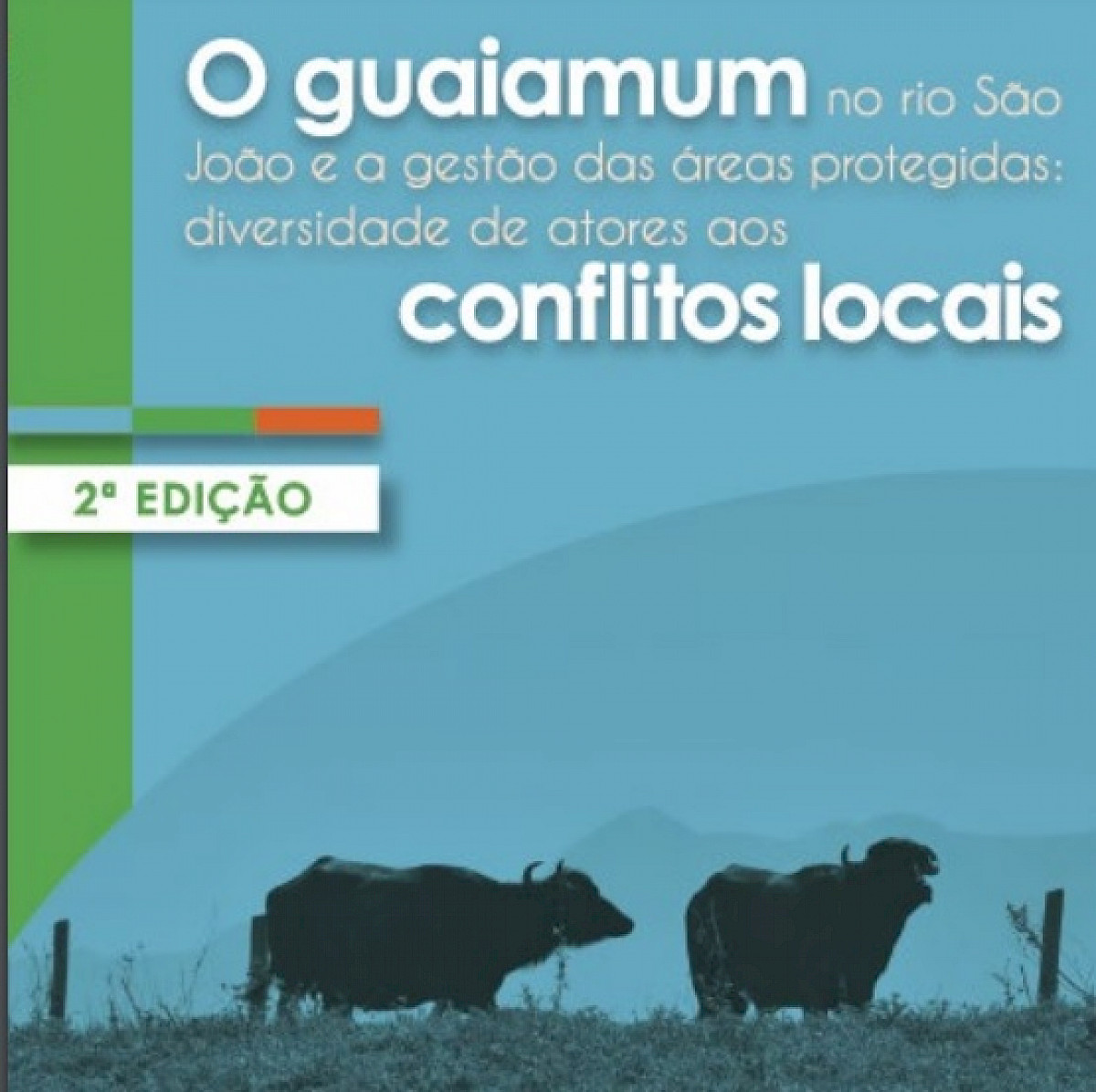 O Guaiamum no Rio São João e a gestão das áreas protegidas: da diversidade de atores aos conflitos sociais